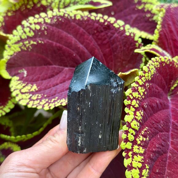 Black Tourmaline Polished Point w Rough Flat Base: 156g - Selection: E - Picture 6 of 8